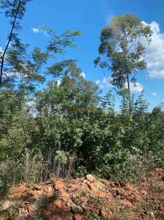 Sítio, 2000 m² - Foto 19