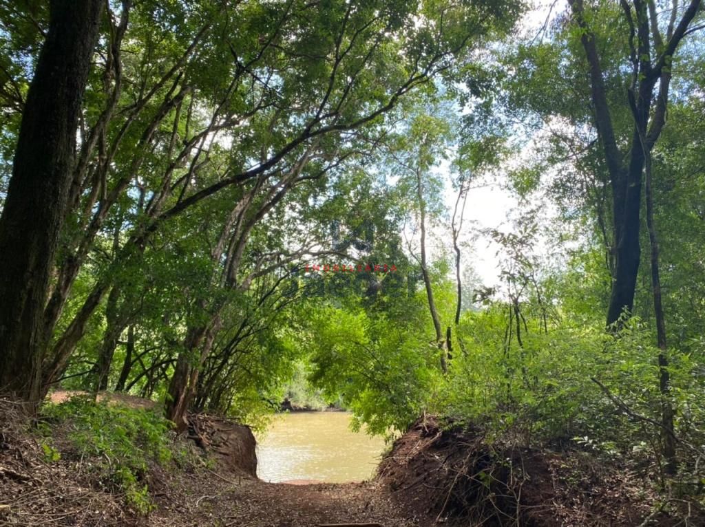 Chácara, 7 hectares - Foto 4