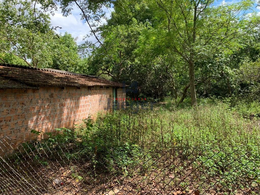 Fazenda à venda com 4 quartos, 1000m² - Foto 12