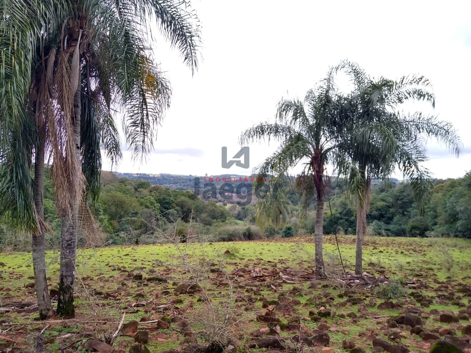 Sítio, 15 hectares - Foto 8