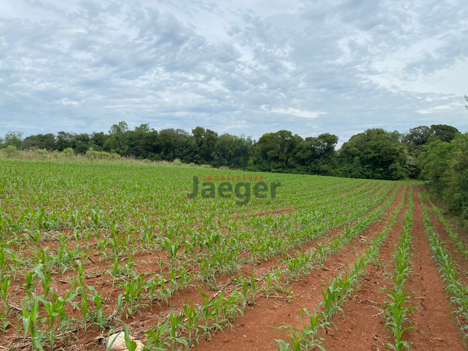 Chácara, 3 hectares - Foto 25