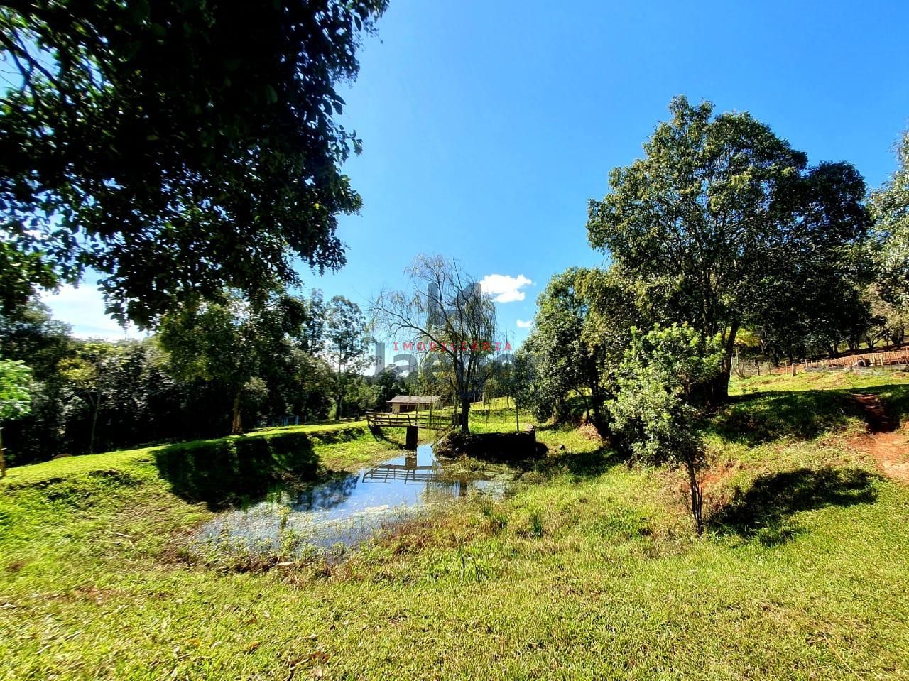 Fazenda à venda - Foto 25