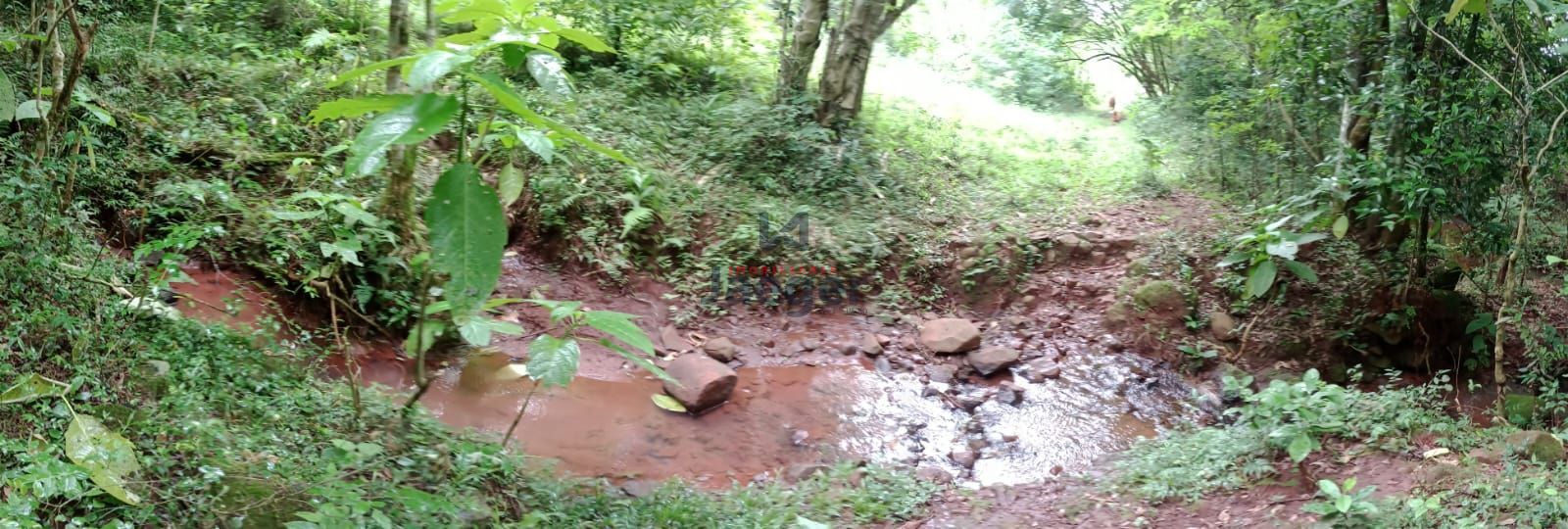 Fazenda à venda com 2 quartos, 125000m² - Foto 4