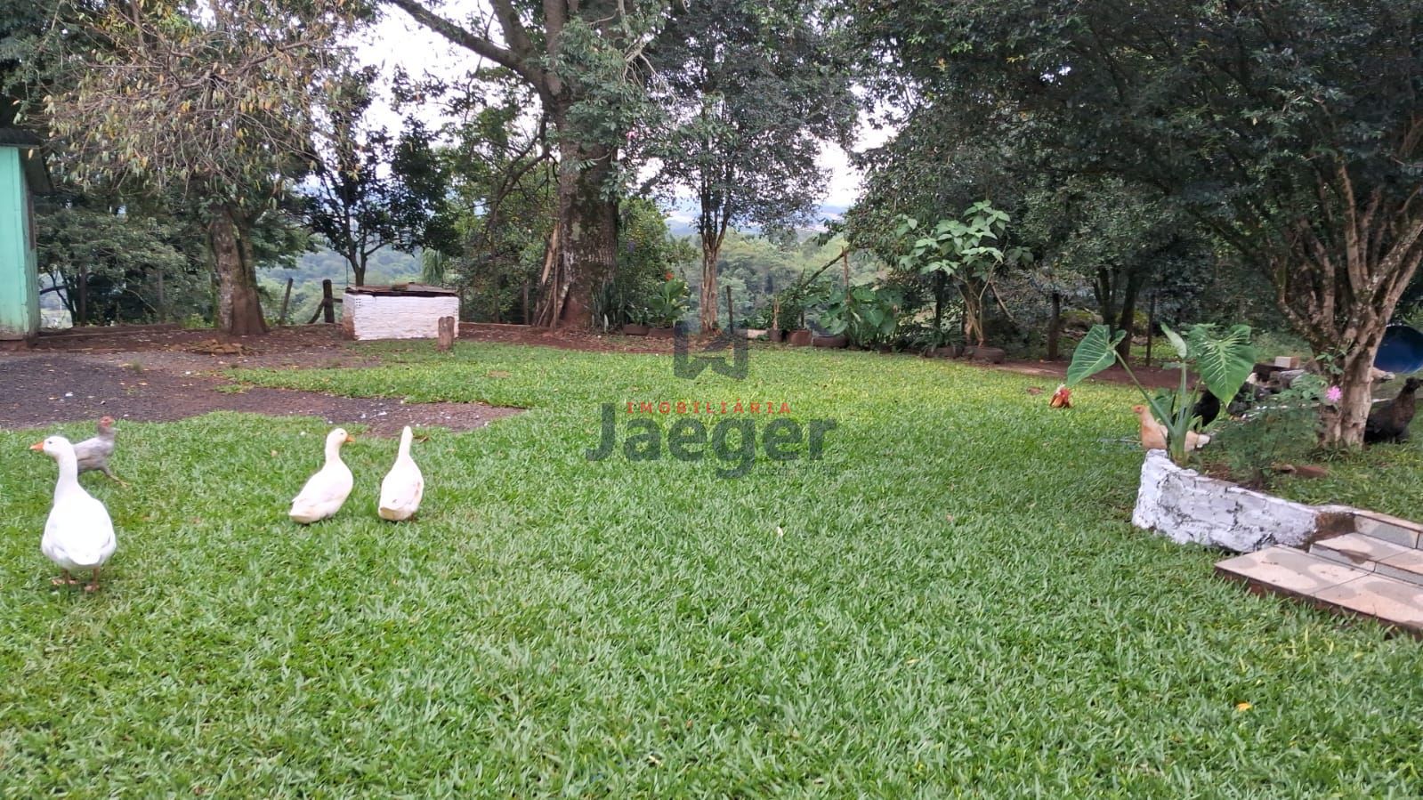 Chácara, 4 hectares - Foto 17