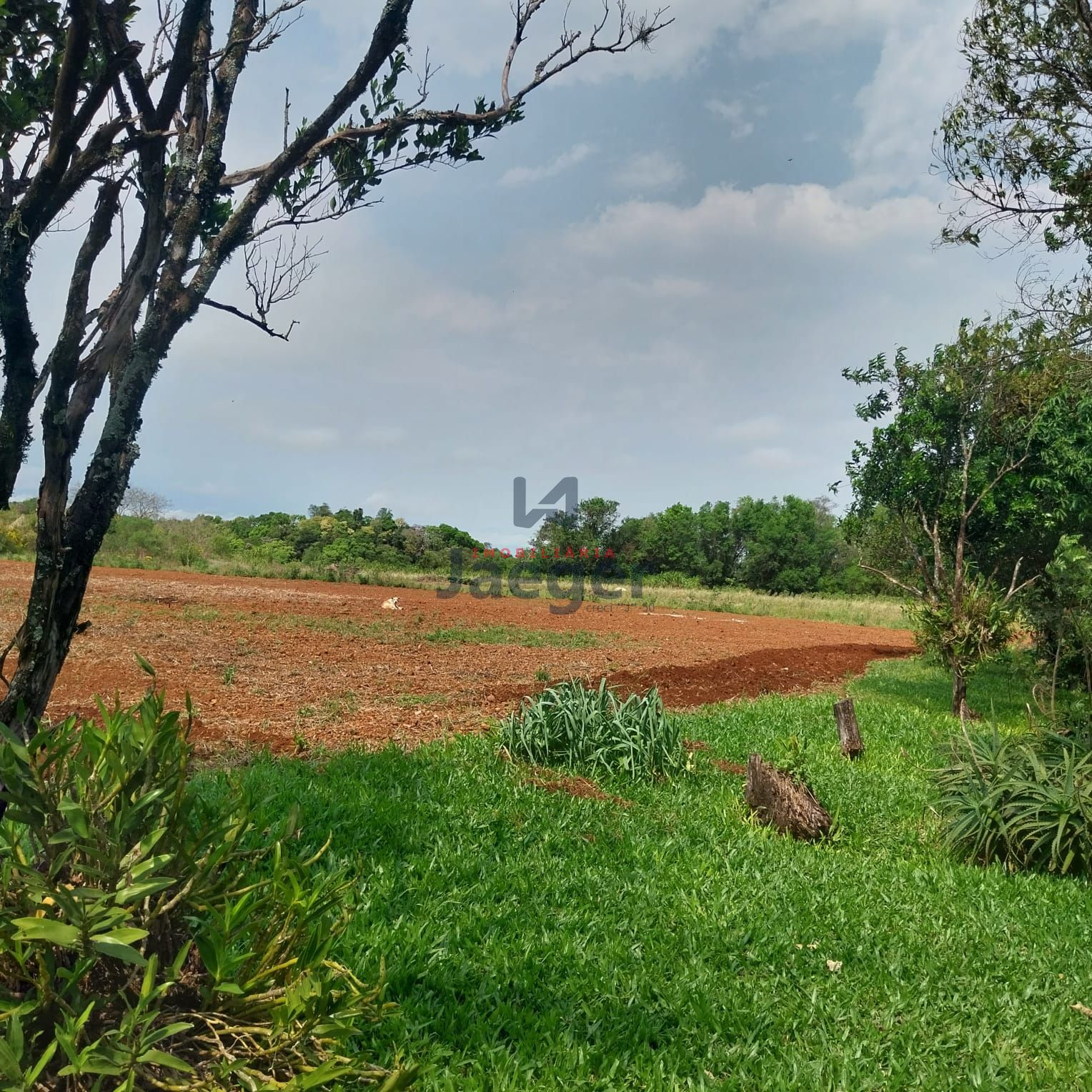 Fazenda à venda com 2 quartos, 100m² - Foto 6