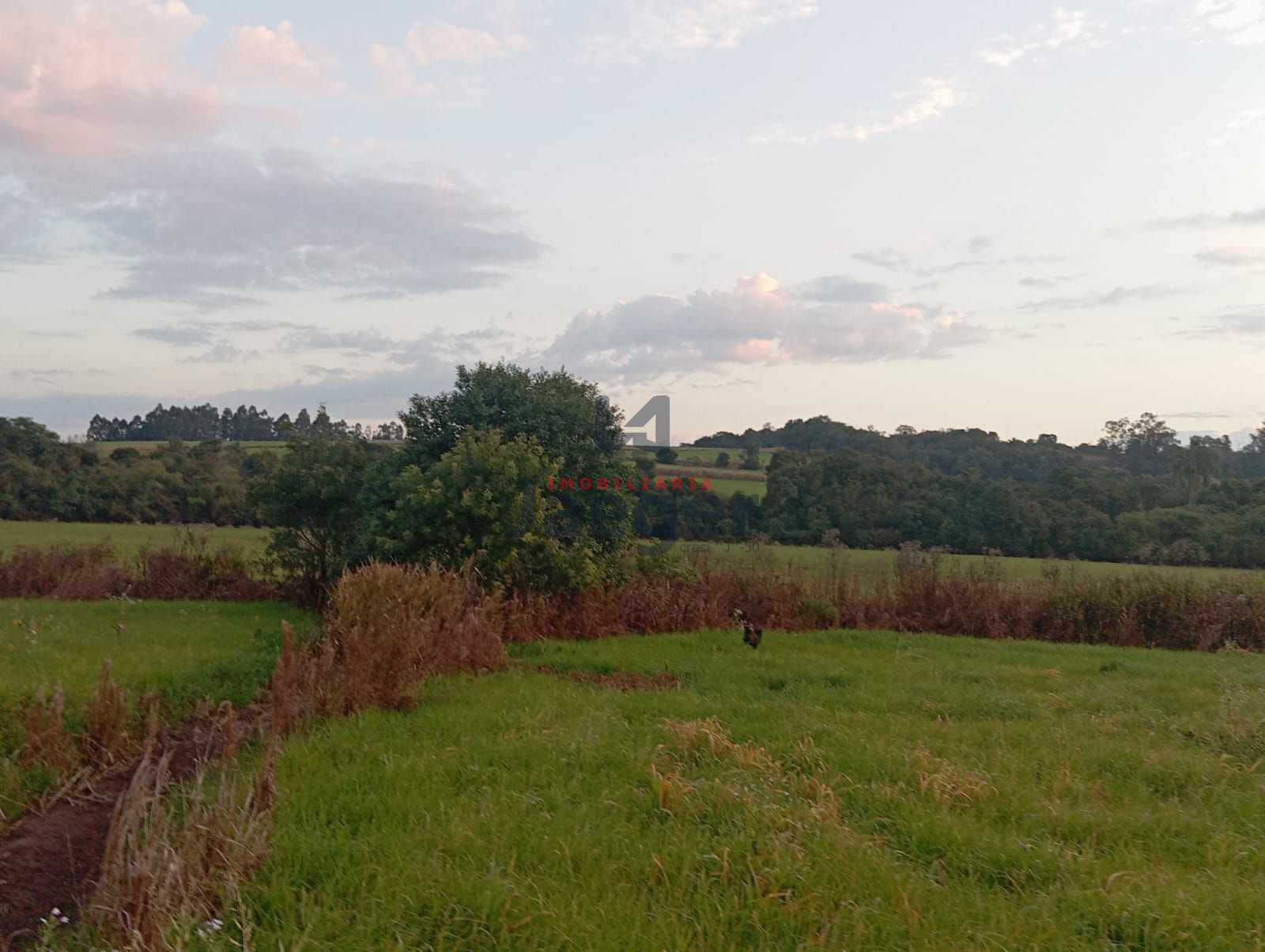 Fazenda-Sítio-Chácara, 21 hectares - Foto 6