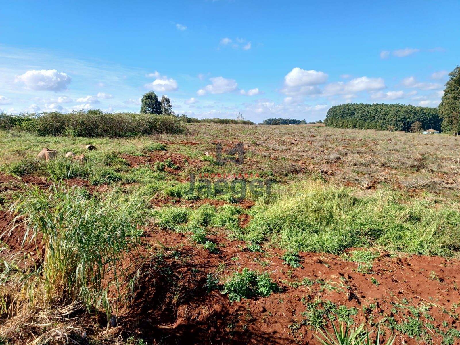 Chácara, 4 hectares - Foto 4