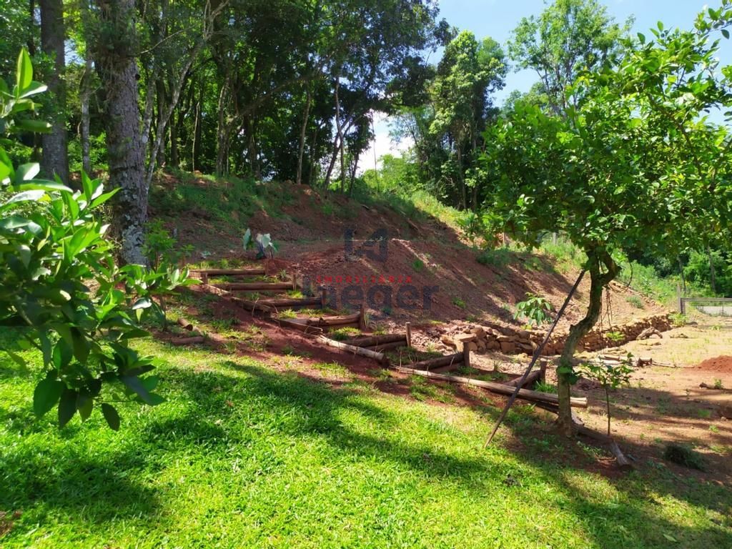 Fazenda à venda com 2 quartos, 125000000m² - Foto 27