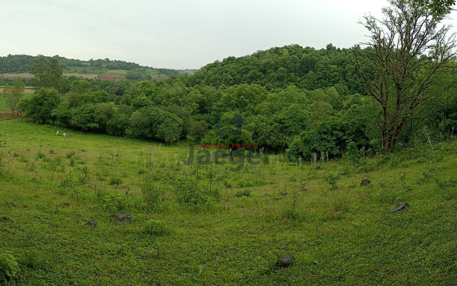 Fazenda à venda com 2 quartos, 125000m² - Foto 3