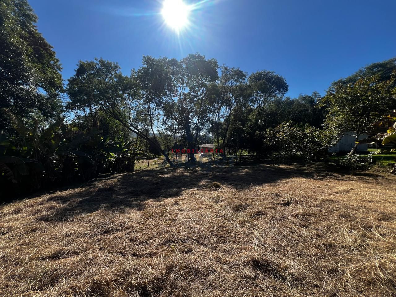 Sítio, 1250 m² - Foto 24