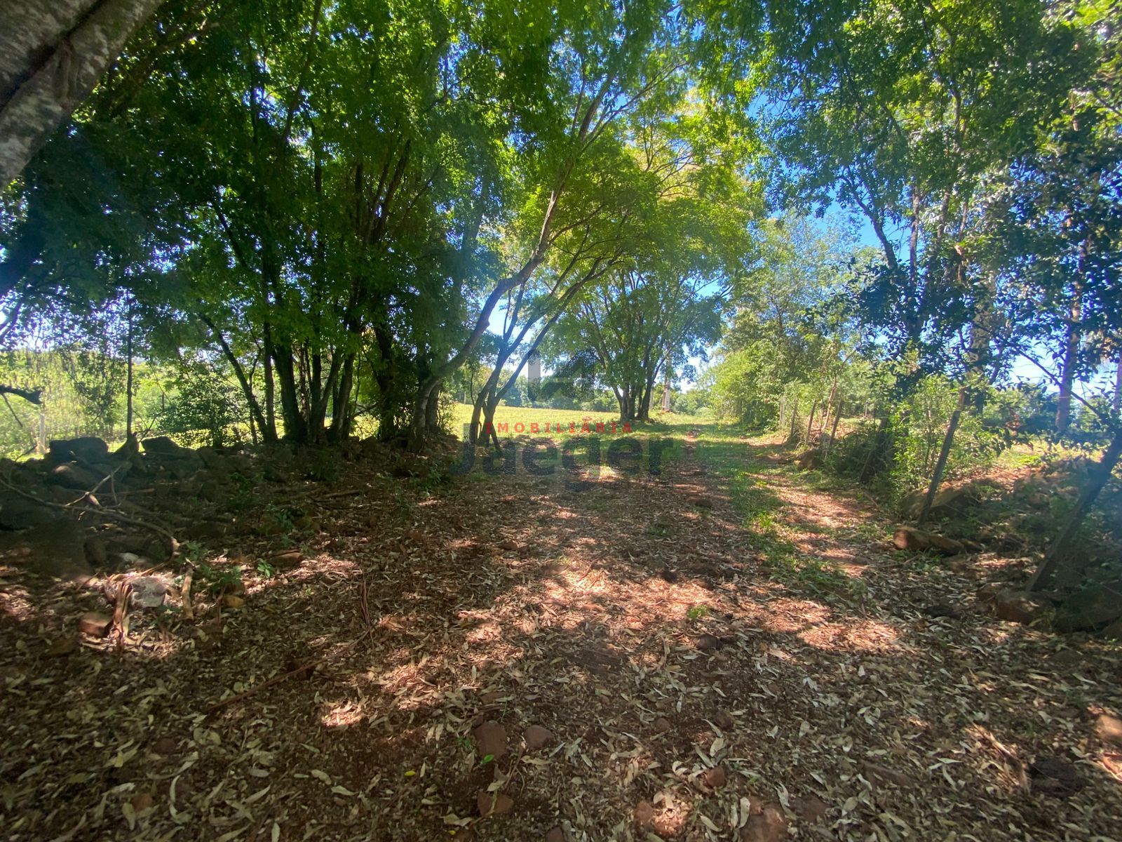 Chácara, 4 hectares - Foto 5