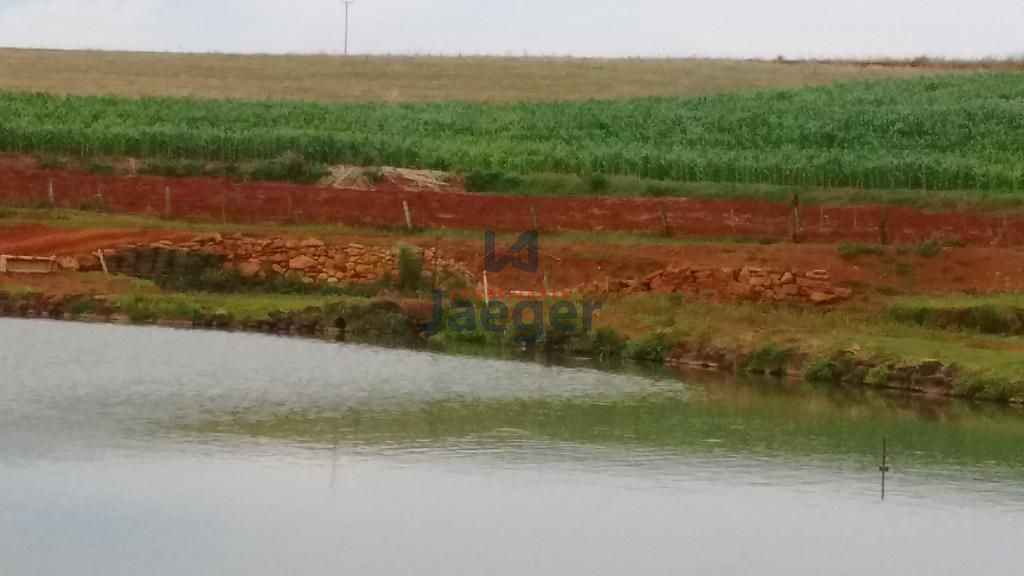 Chácara à venda com 3 quartos, 10200000m² - Foto 13