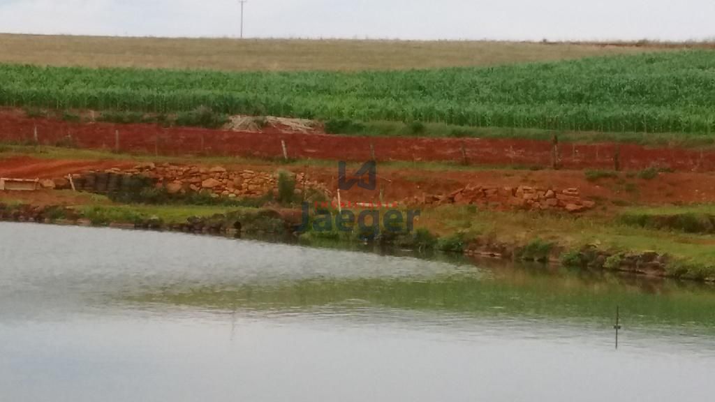 Fazenda à venda com 3 quartos, 10200000m² - Foto 13