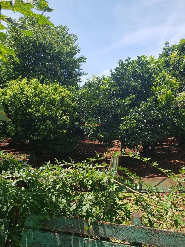 Terreno, 528 m² - Foto 4