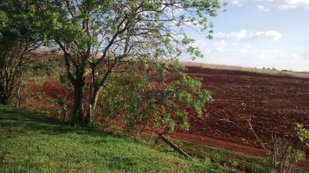 Chácara à venda com 3 quartos, 10200000m² - Foto 6