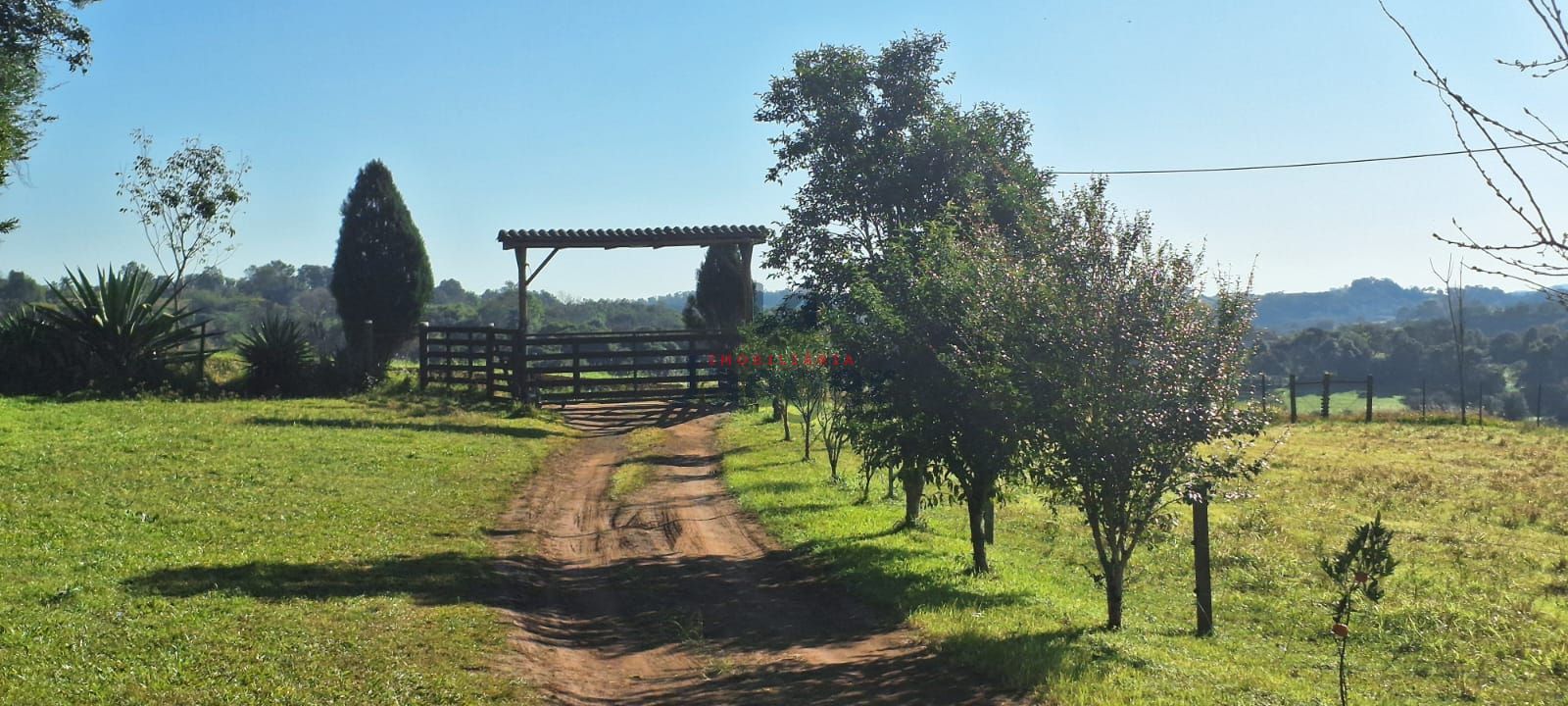 Fazenda à venda com 3 quartos, 2m² - Foto 6