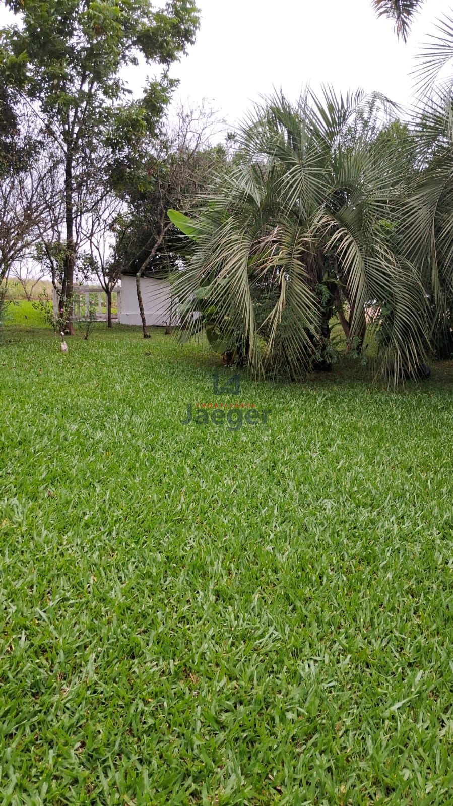 Chácara, 4 hectares - Foto 3