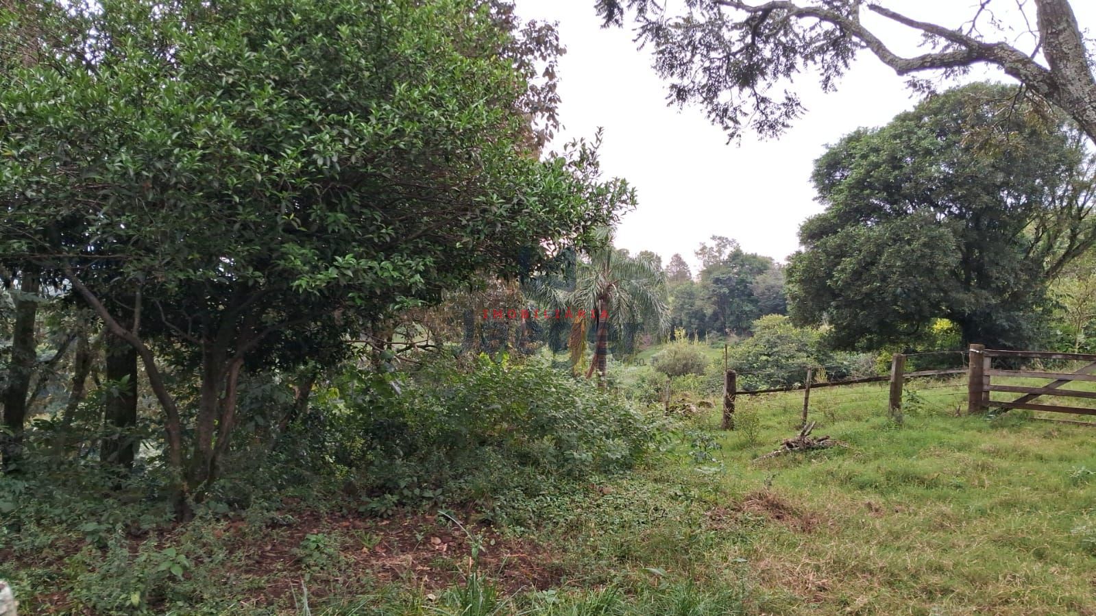 Chácara, 4 hectares - Foto 13