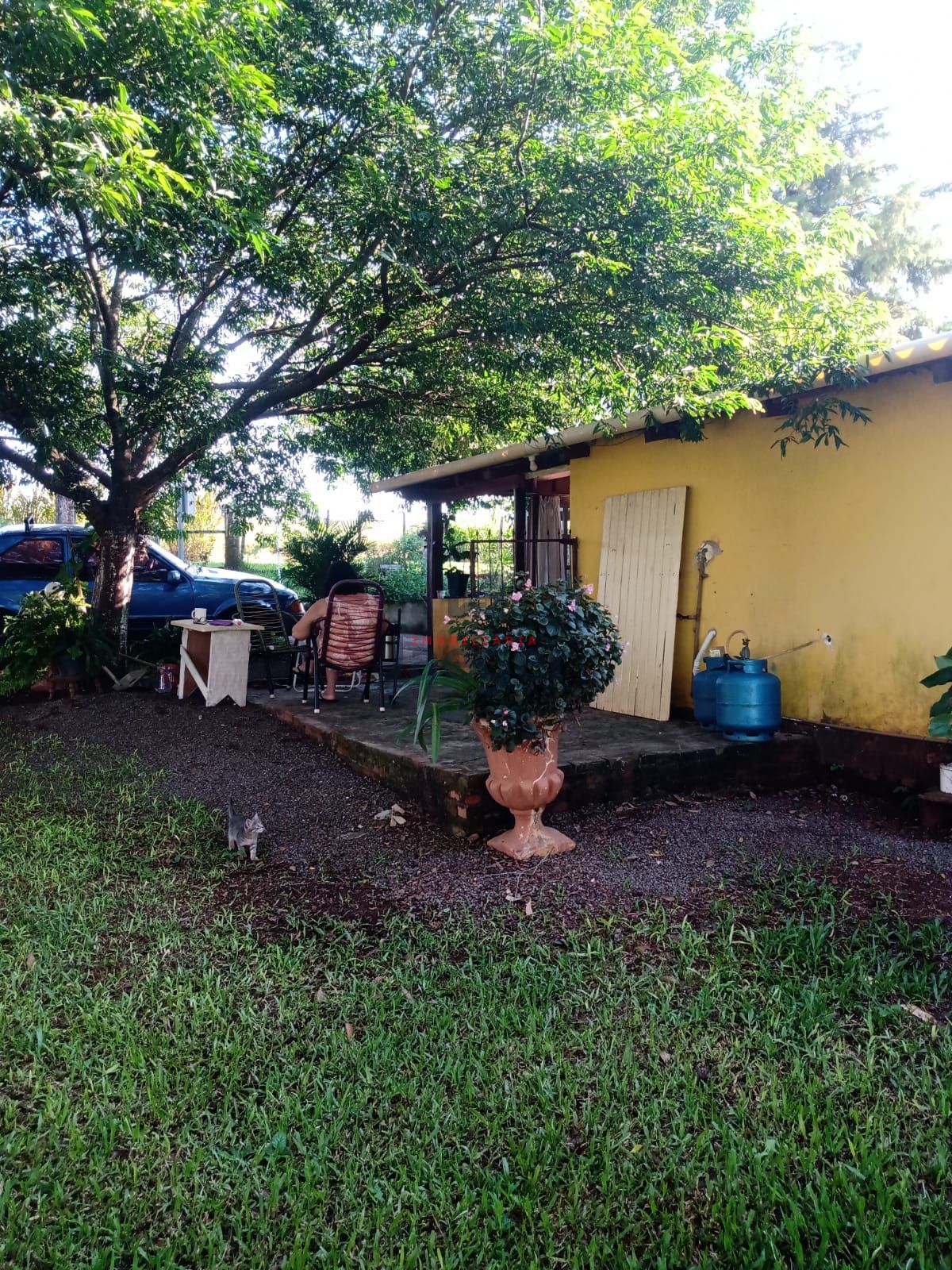 Fazenda à venda com 2 quartos, 100000000m² - Foto 1