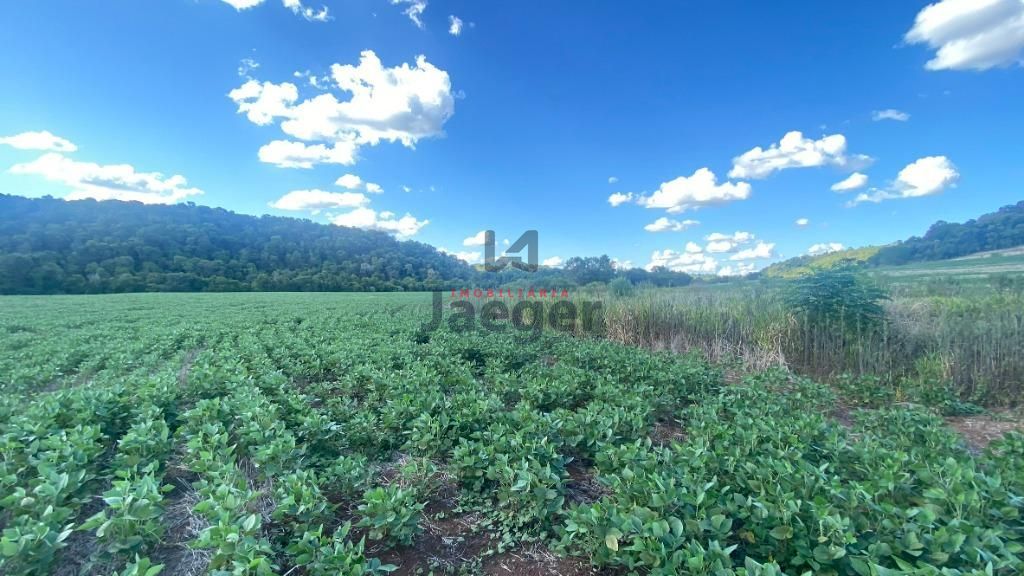 Fazenda à venda, 45m² - Foto 10