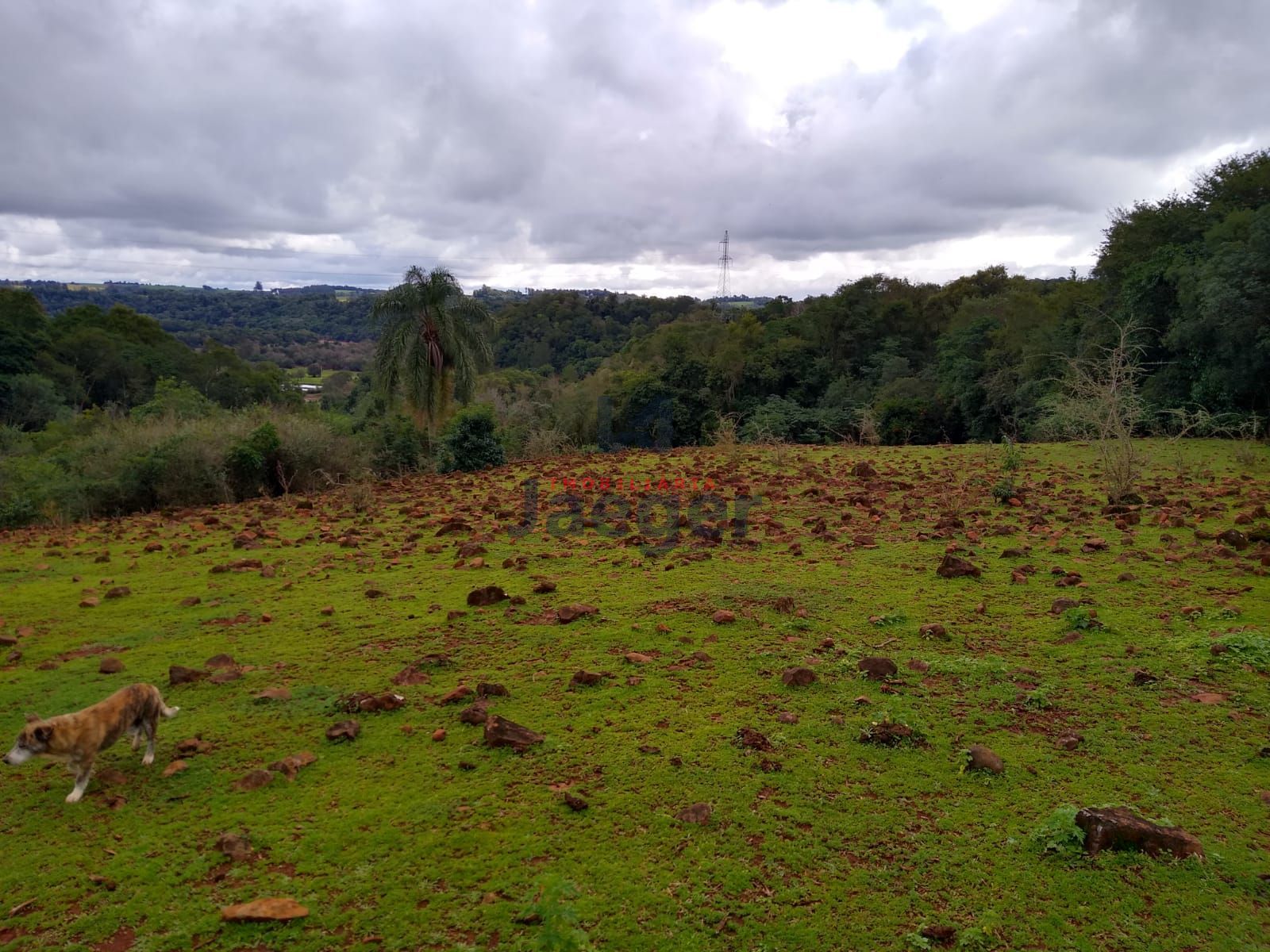 Fazenda à venda com 2 quartos, 150000m² - Foto 7