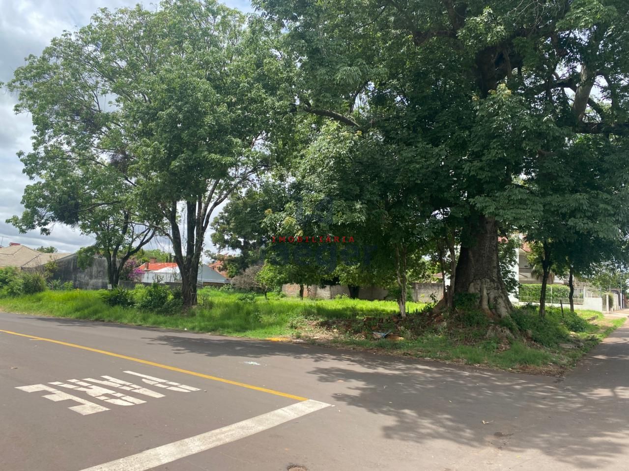 Terreno, 1550 m² - Foto 5