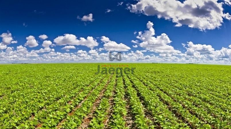 Terreno à venda, 50000m² - Foto 1