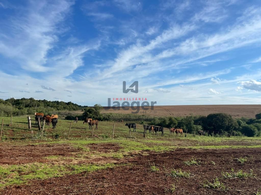 Fazenda à venda com 3 quartos, 192m² - Foto 15