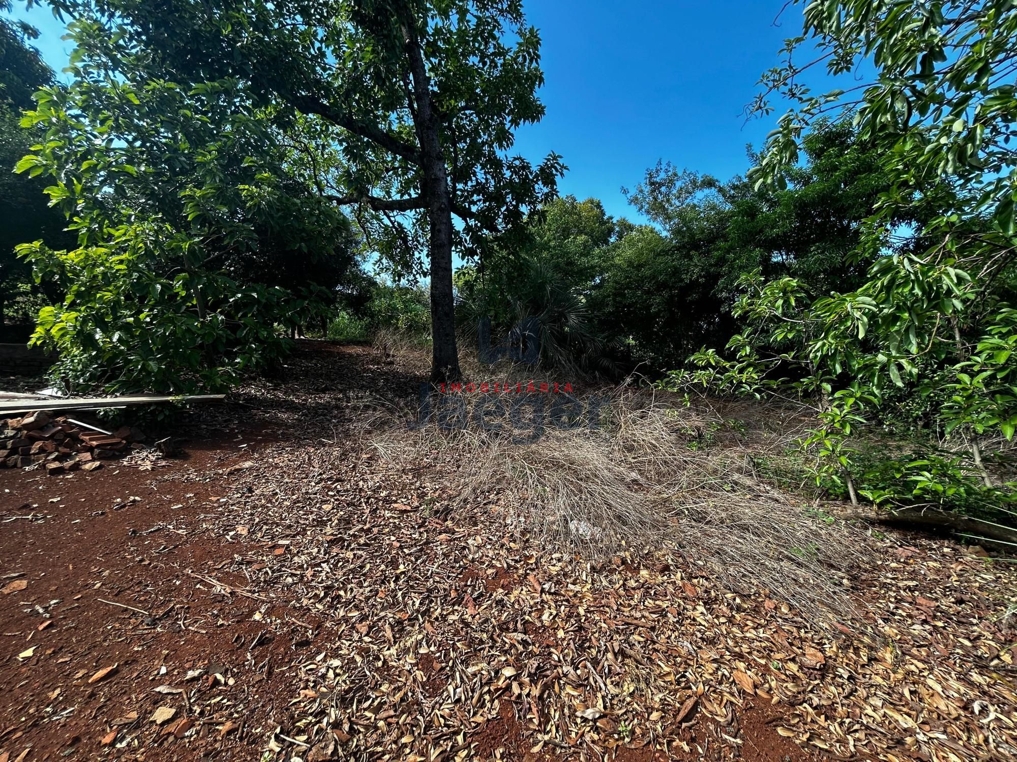 Terreno, 3000 m² - Foto 1