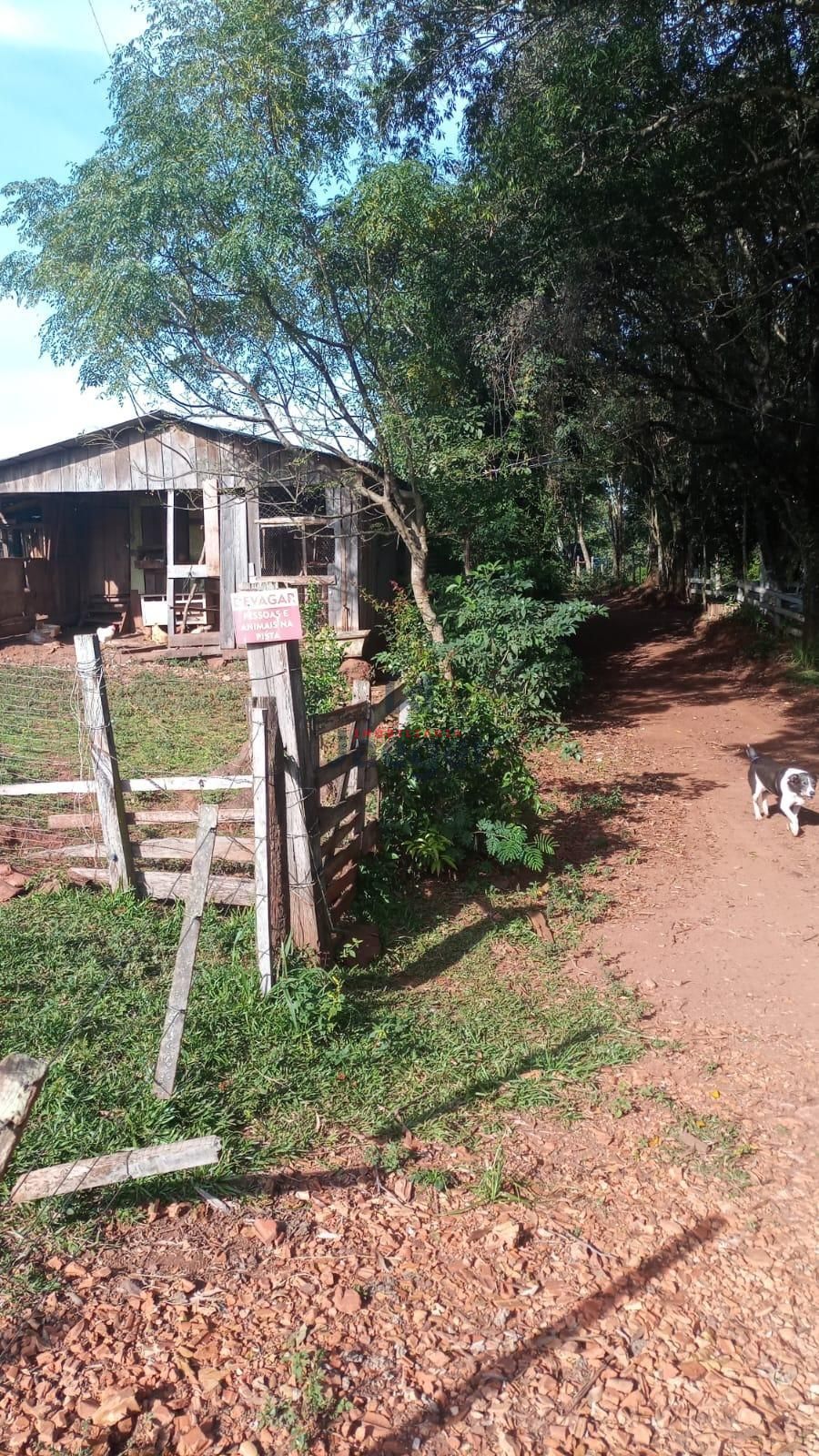 Fazenda à venda com 2 quartos, 22000m² - Foto 15