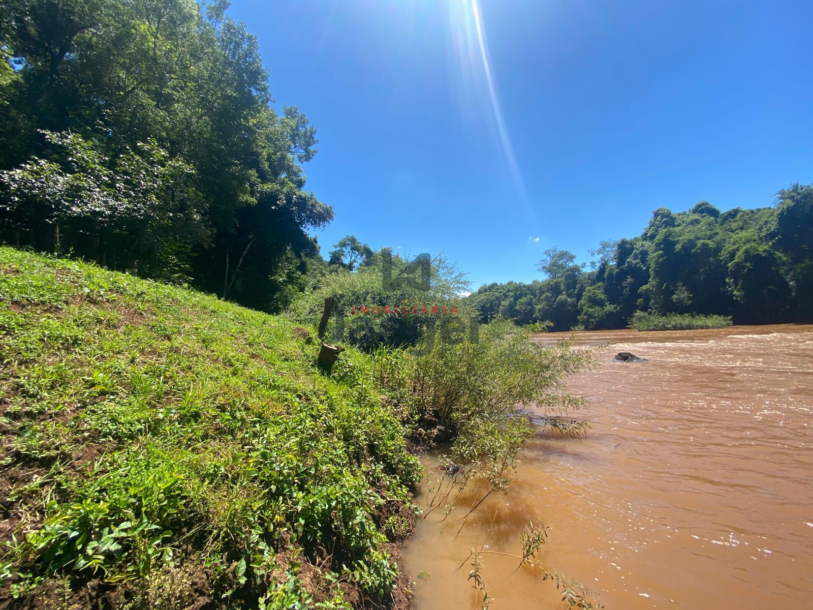 Chácara, 4 hectares - Foto 22