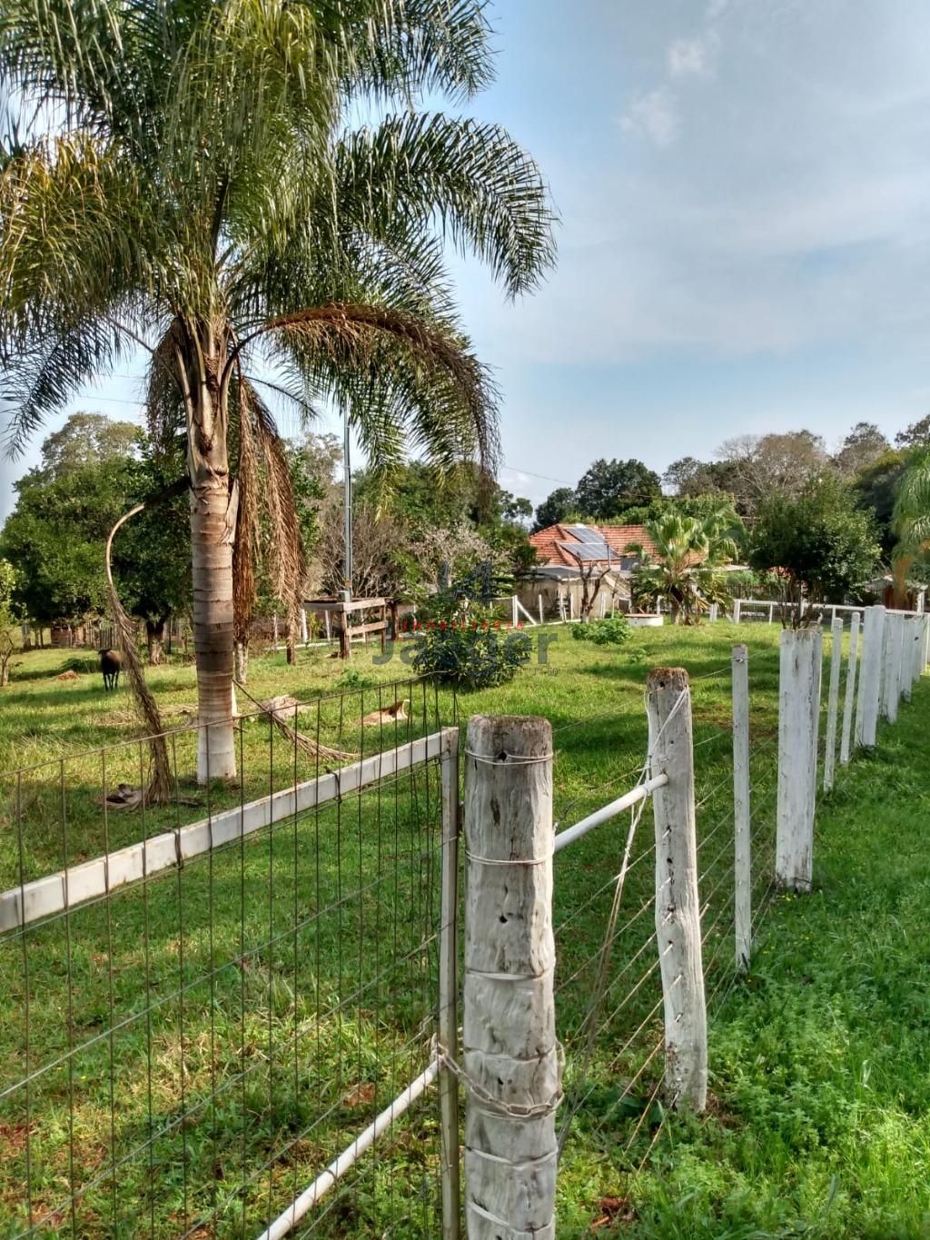 Fazenda à venda com 3 quartos, 140m² - Foto 4