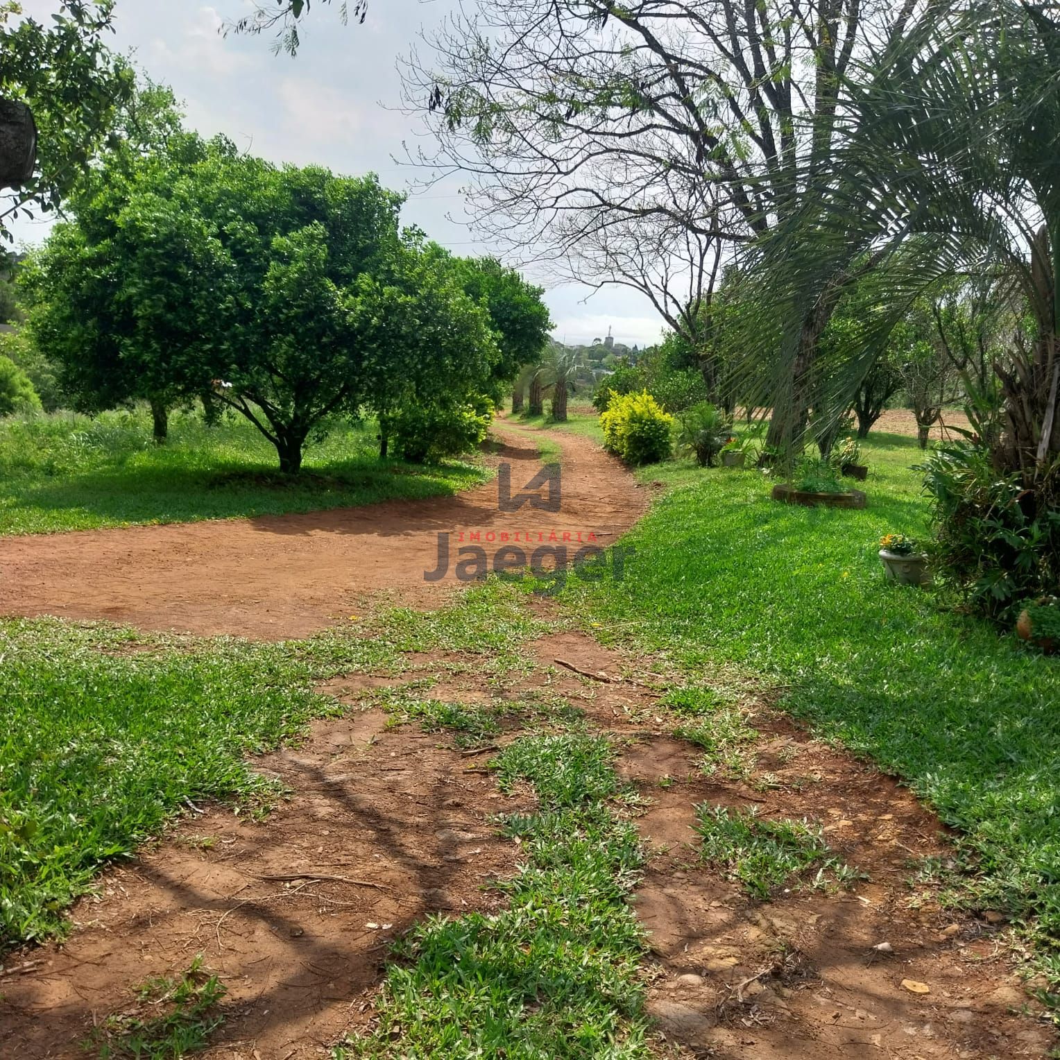 Fazenda à venda com 2 quartos, 100m² - Foto 5