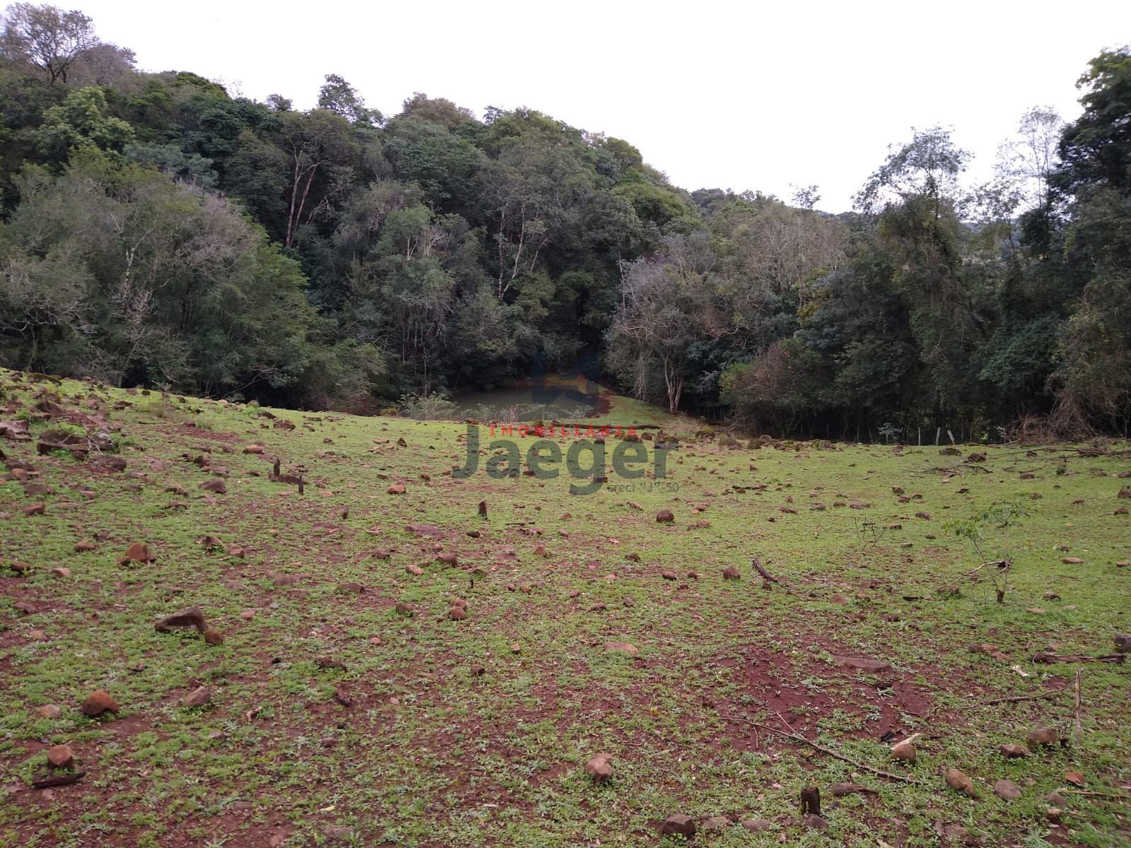 Fazenda à venda com 2 quartos, 150000m² - Foto 29