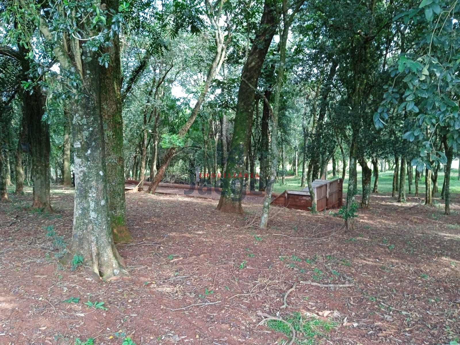 Fazenda à venda com 3 quartos, 15000m² - Foto 17