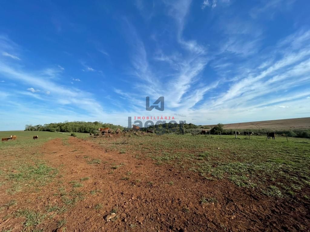 Fazenda à venda com 3 quartos, 192m² - Foto 8