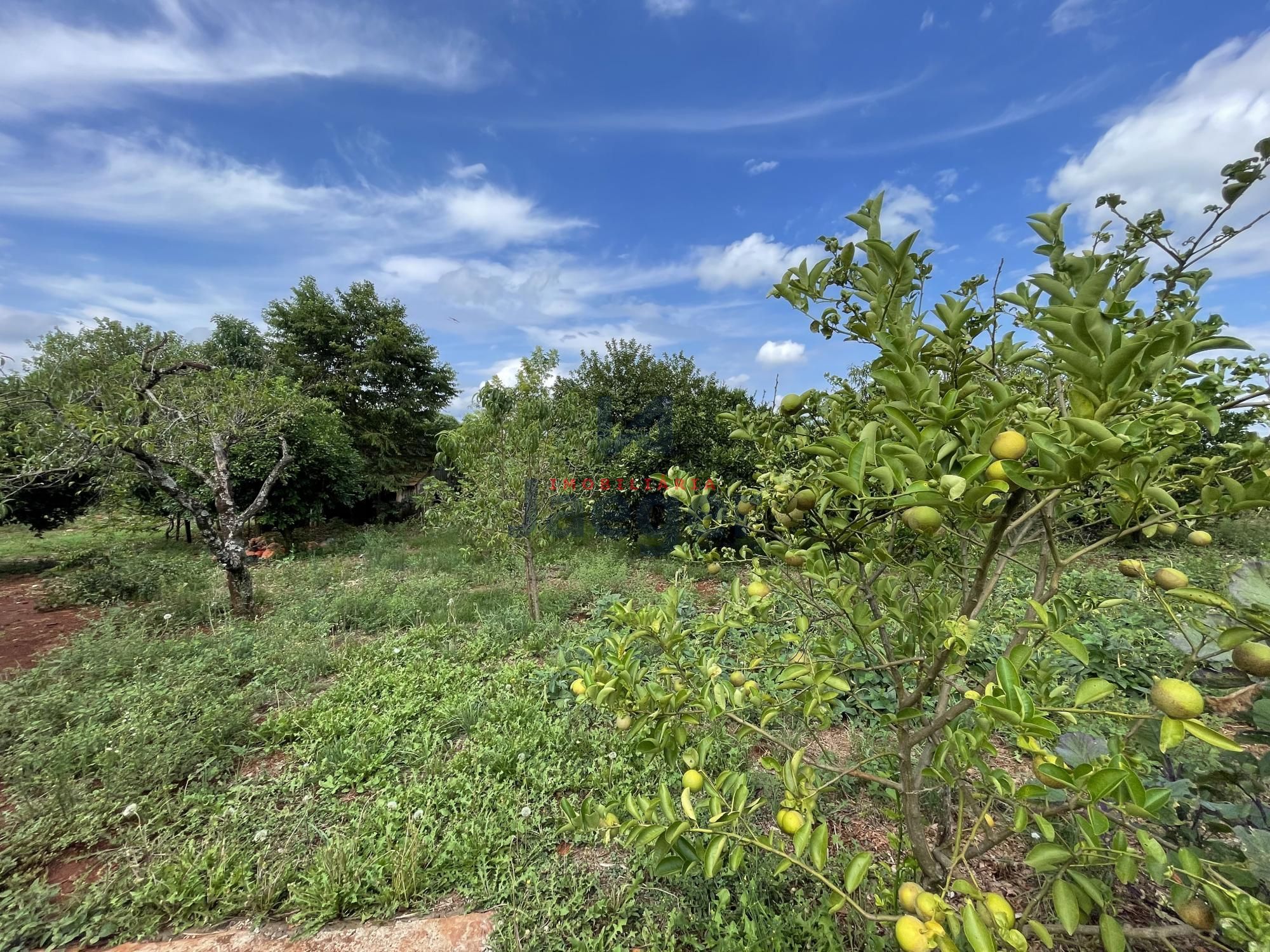Chácara, 3 quartos, 4 hectares - Foto 27