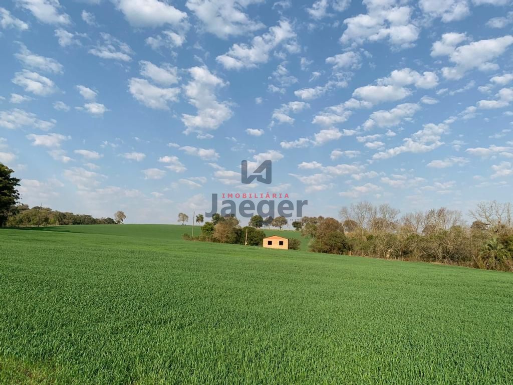 Fazenda à venda com 3 quartos, 140m² - Foto 33