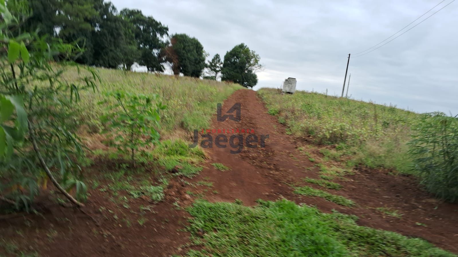 Chácara, 4 hectares - Foto 19