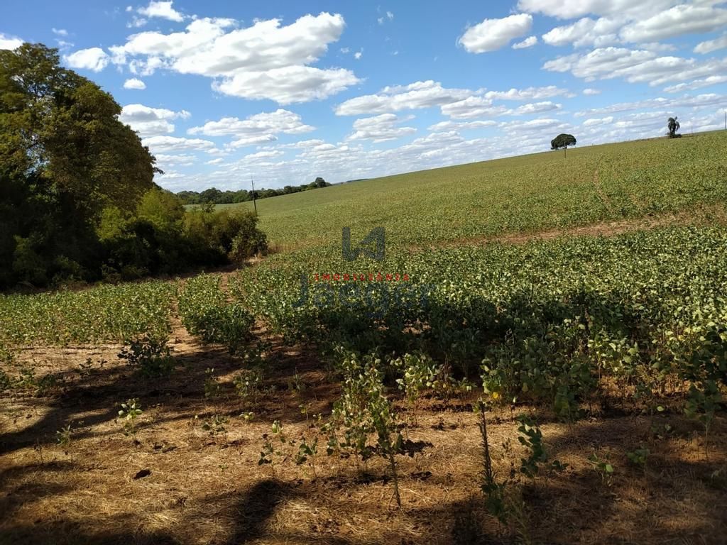 Sítio, 2 hectares - Foto 1