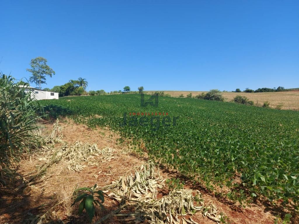 Fazenda à venda com 3 quartos, 79000m² - Foto 21