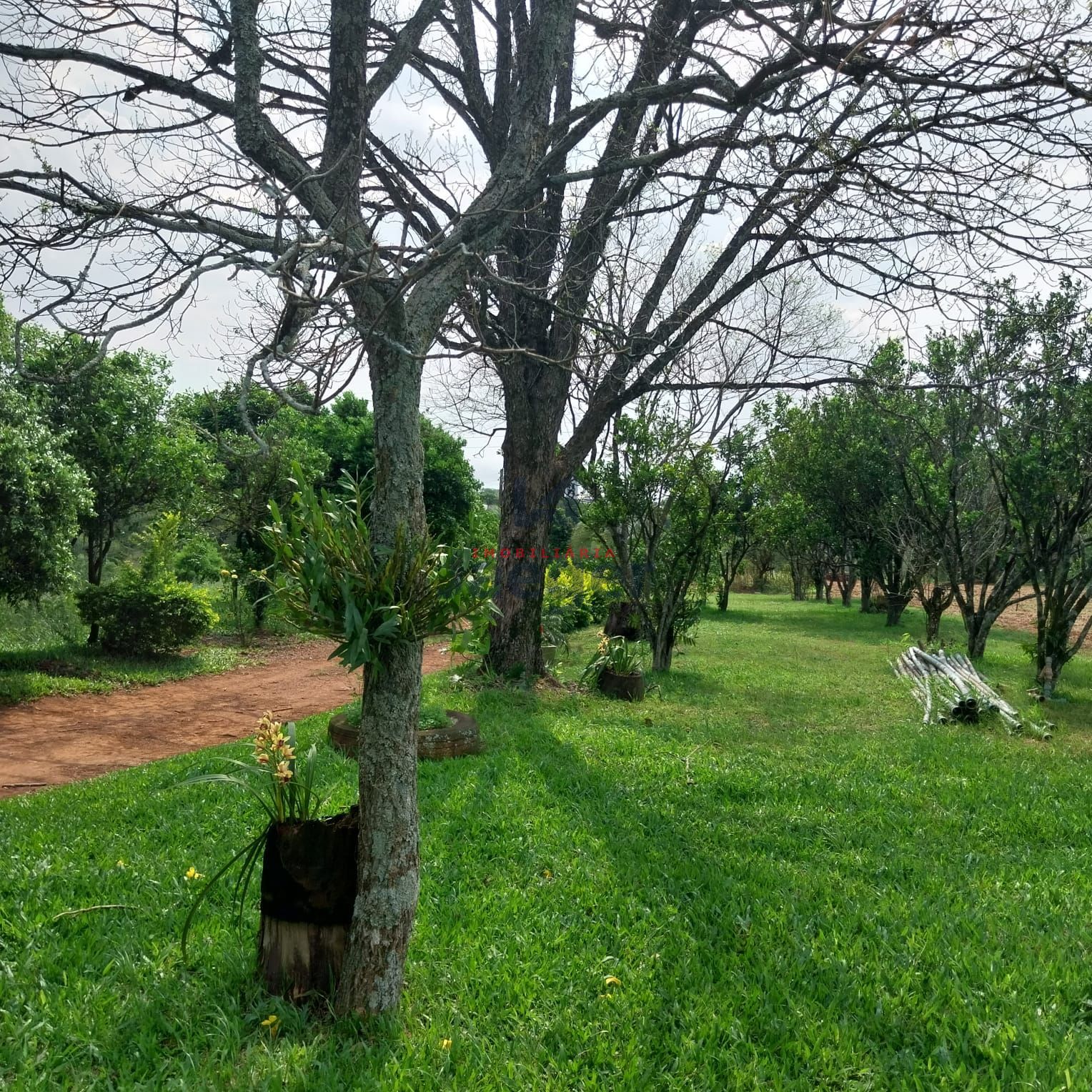 Fazenda à venda com 2 quartos, 100m² - Foto 4