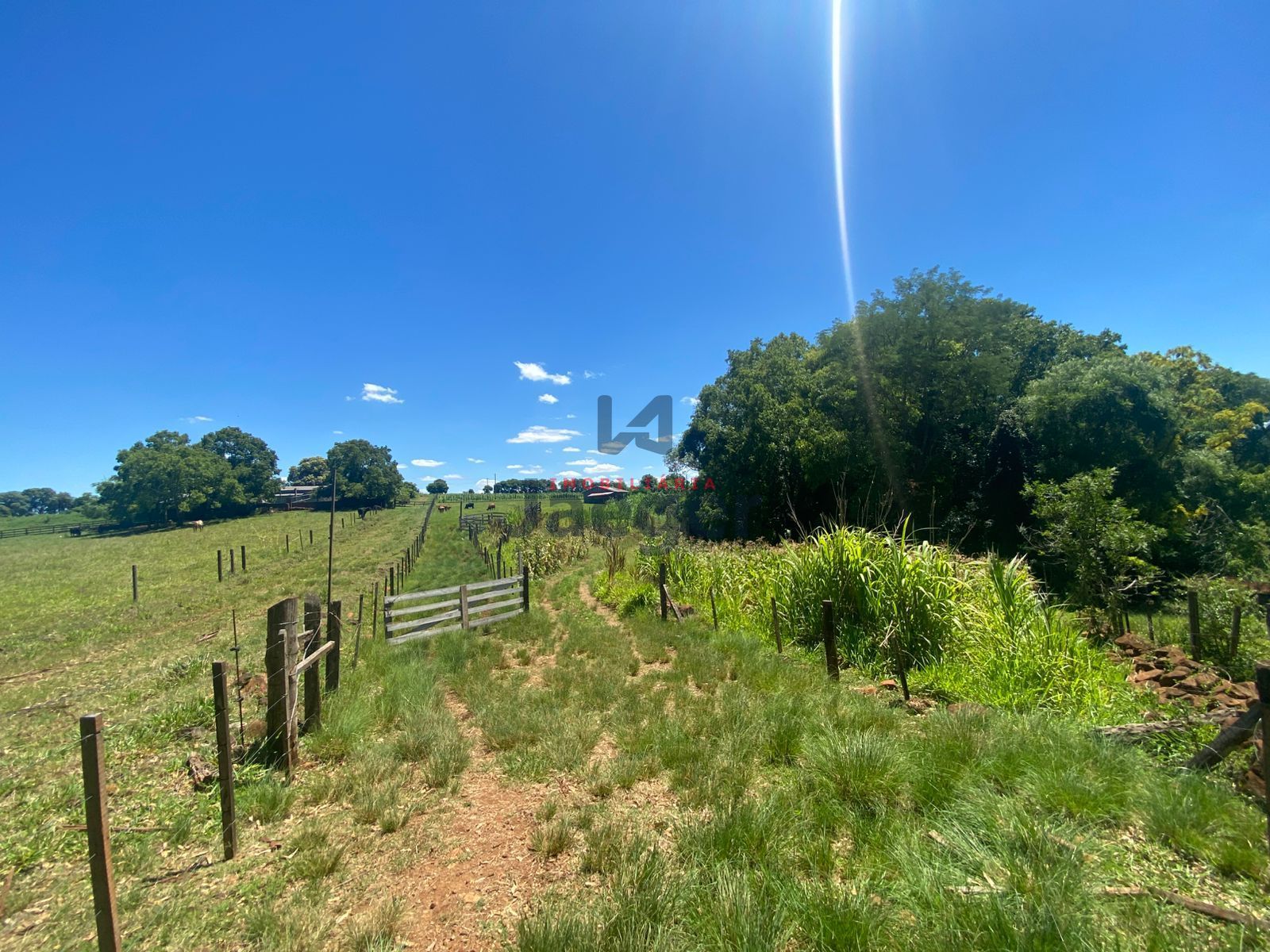 Chácara, 4 hectares - Foto 17