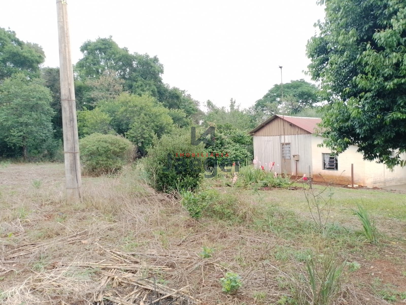 Fazenda à venda com 2 quartos, 125000m² - Foto 11