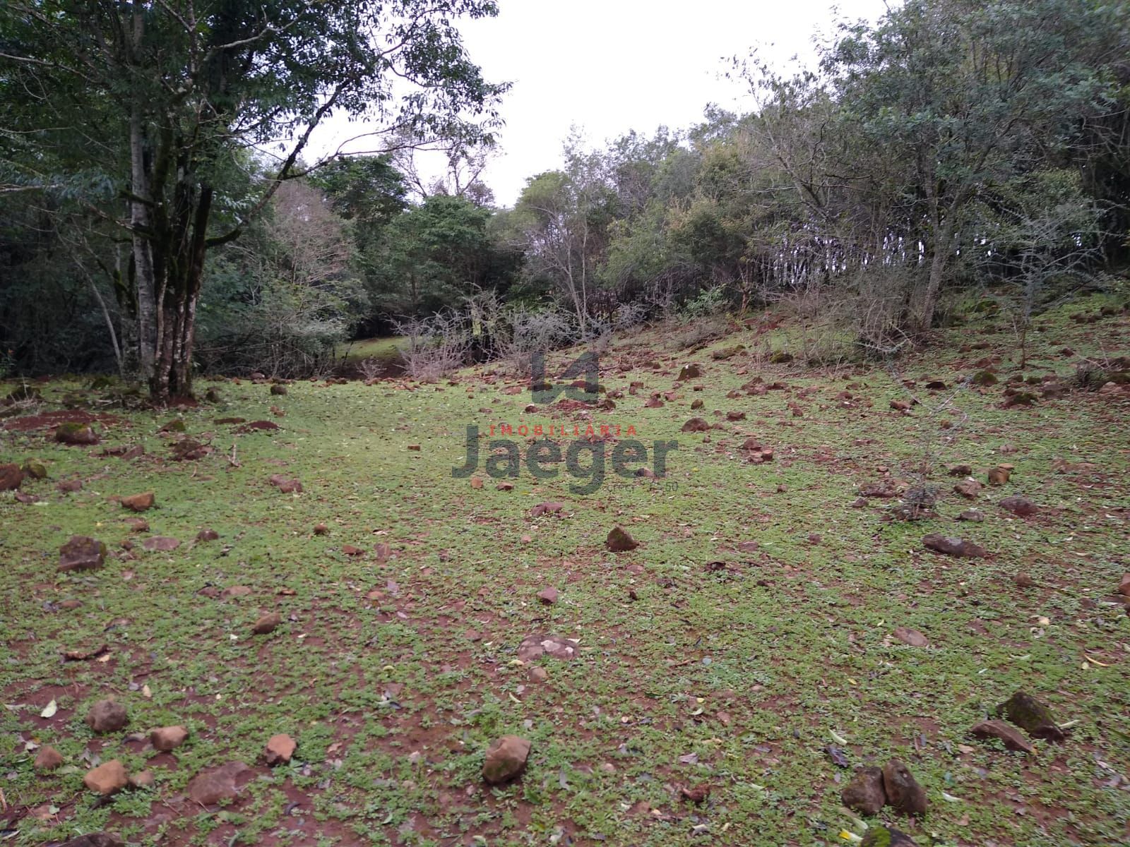 Fazenda à venda com 2 quartos, 150000m² - Foto 33