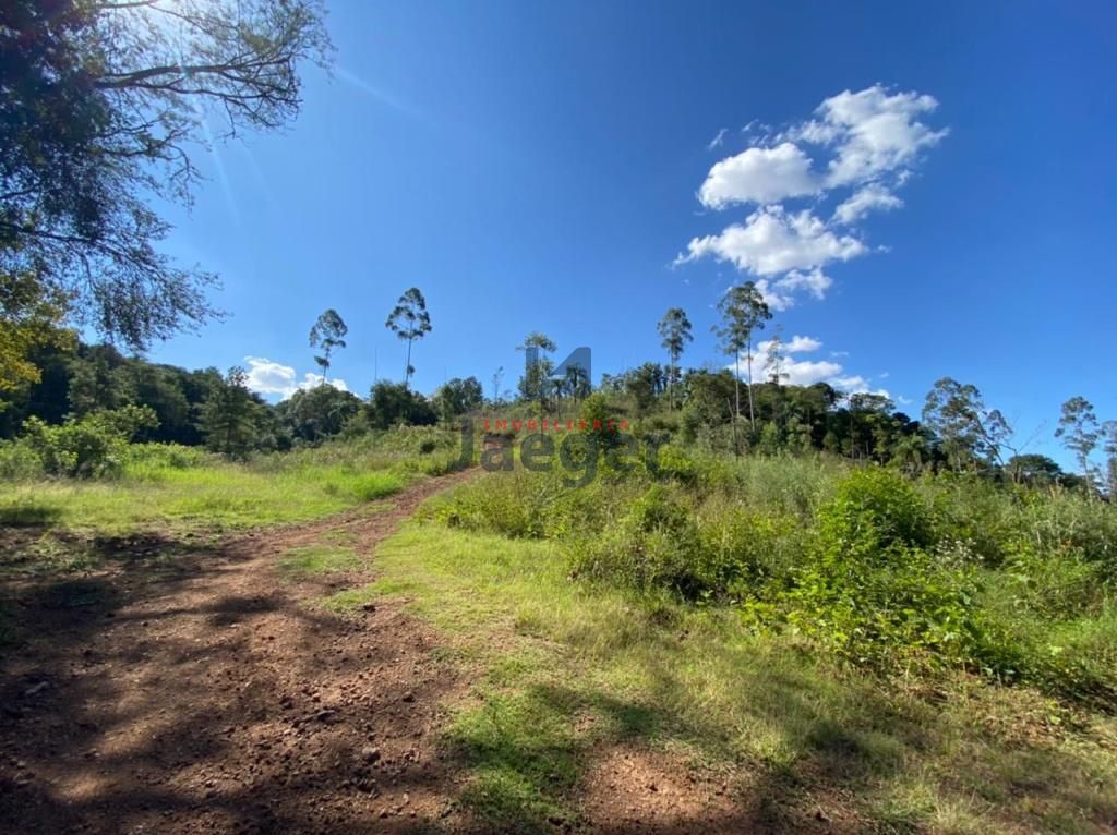 Sítio, 2000 m² - Foto 9