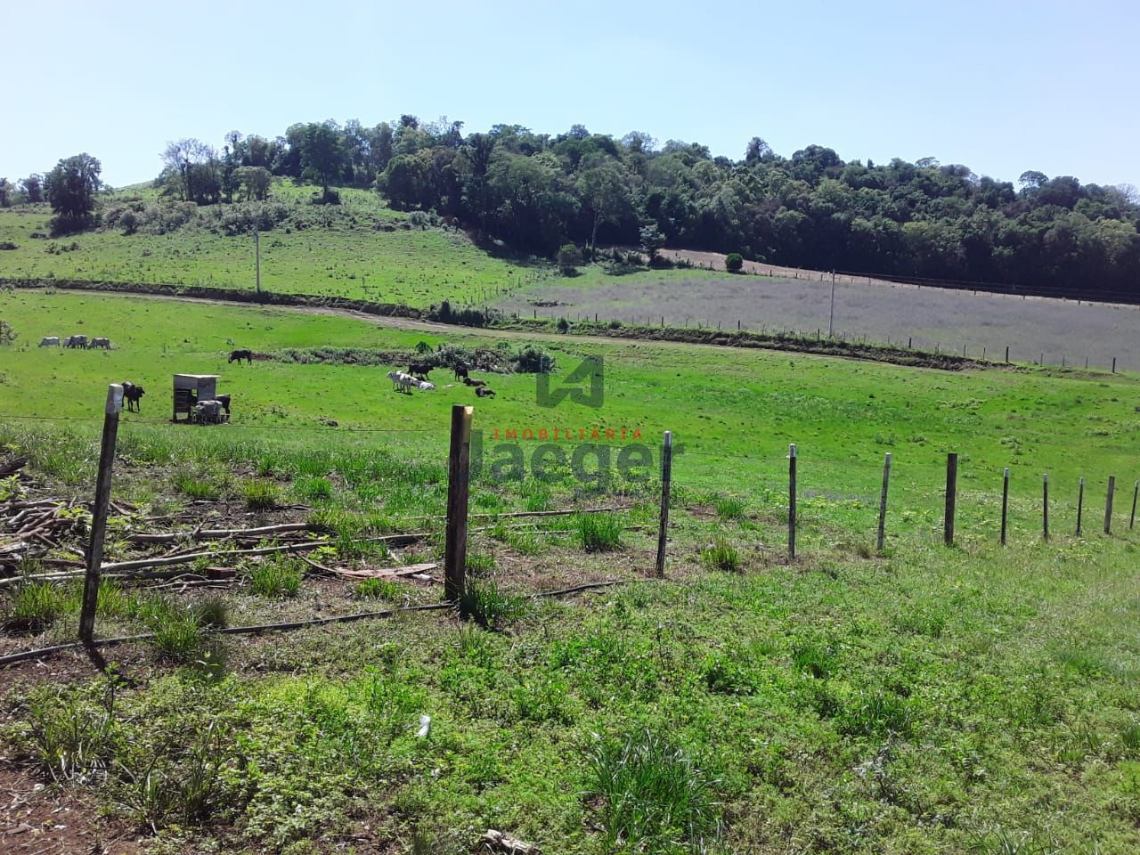 Fazenda à venda com 2 quartos, 180000m² - Foto 3