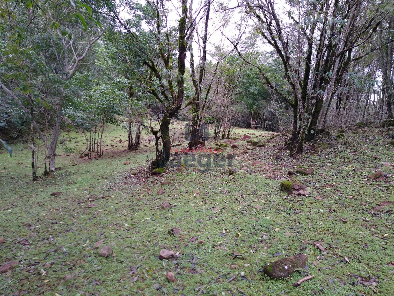 Fazenda à venda com 2 quartos, 150000m² - Foto 12