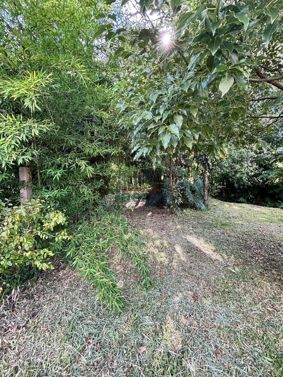 Chácara, 2877 m² - Foto 20