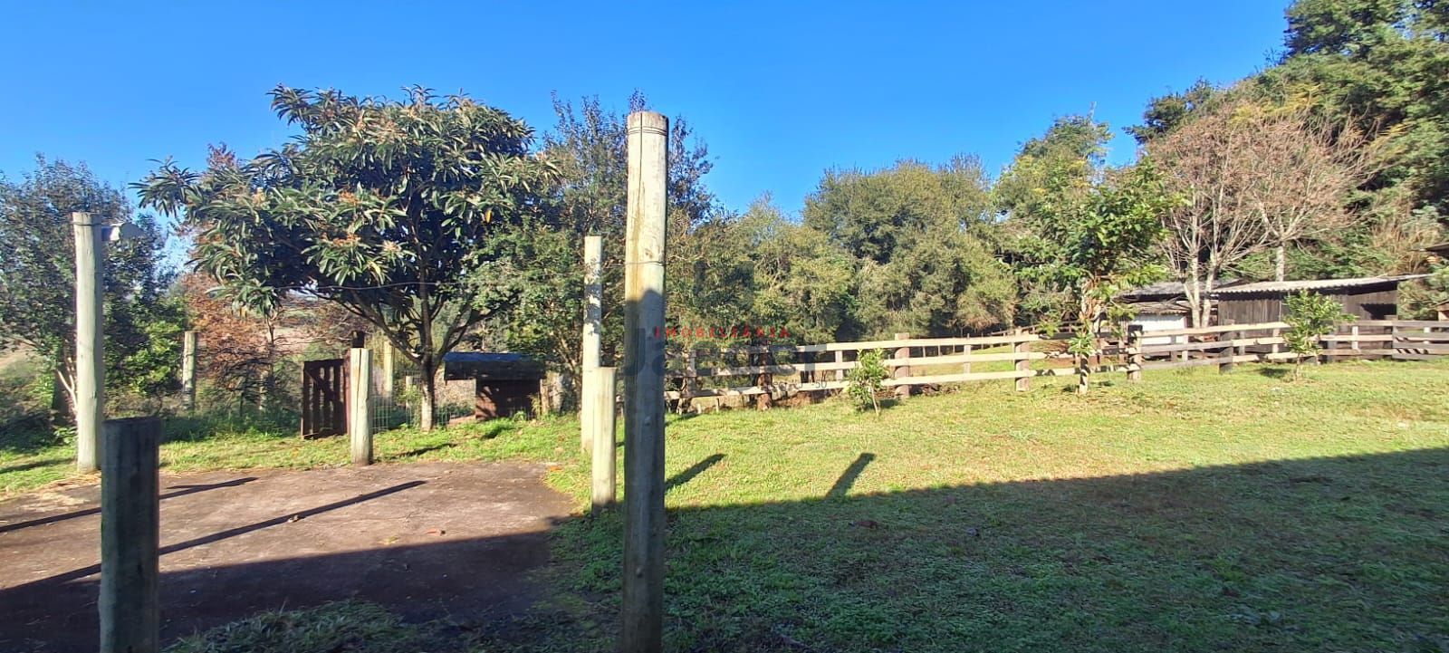 Fazenda à venda com 3 quartos, 2m² - Foto 23